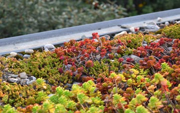 the cost of Somerton Hill green roof installation