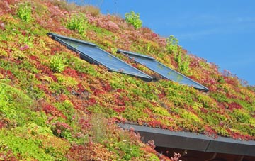 Somerton Hill living roof systems
